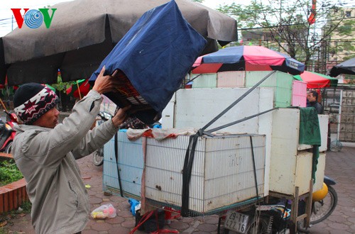 Yen Phuc bird market  - ảnh 14